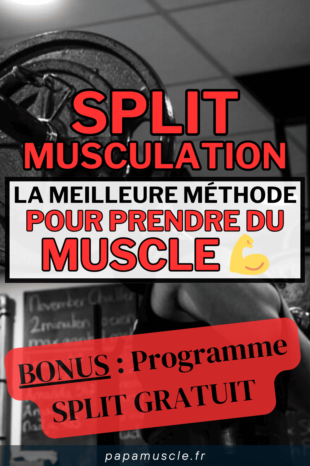 split musculation