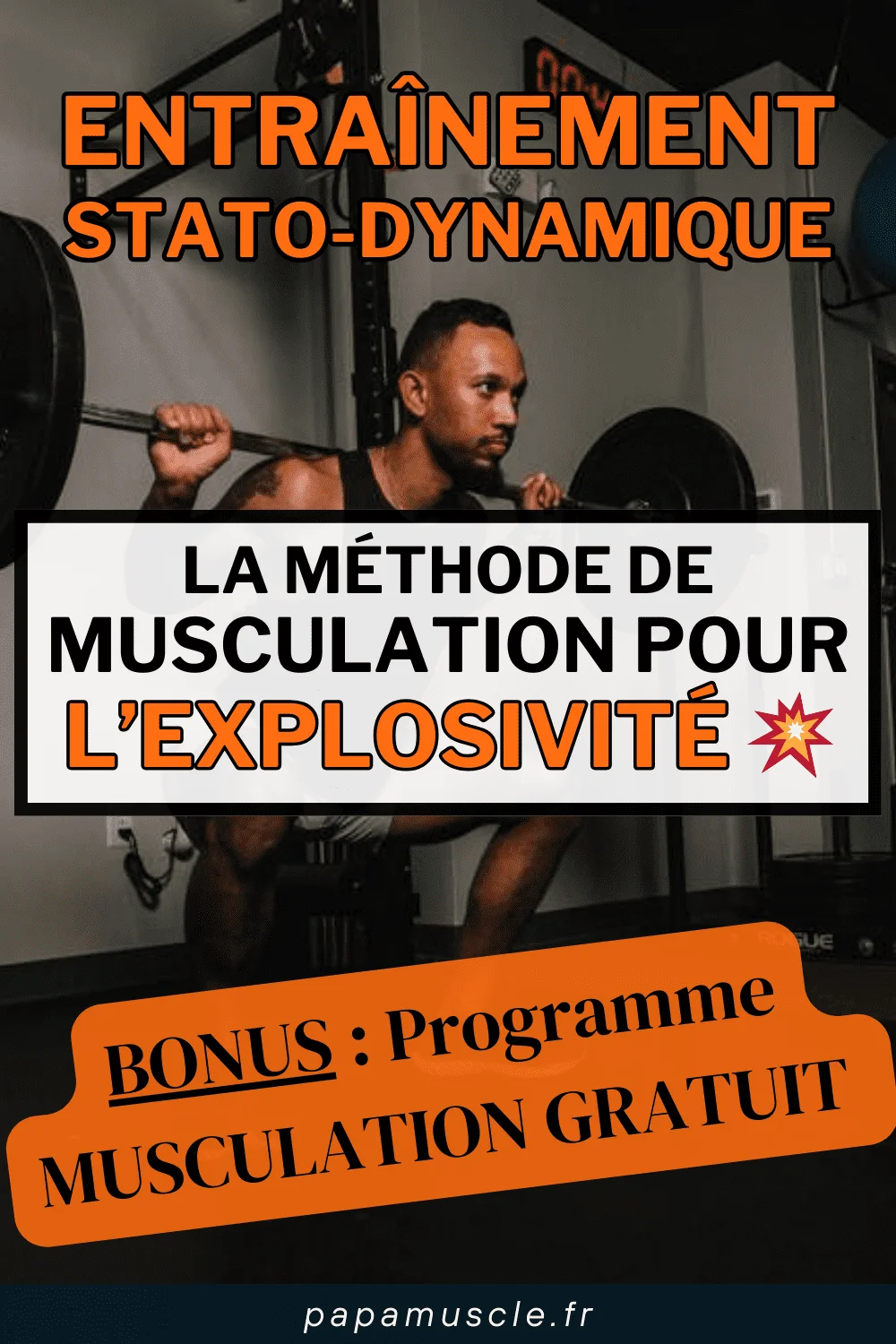 stato dynamique musculation