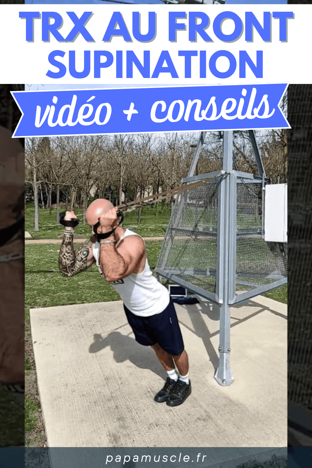 TRX au front supination