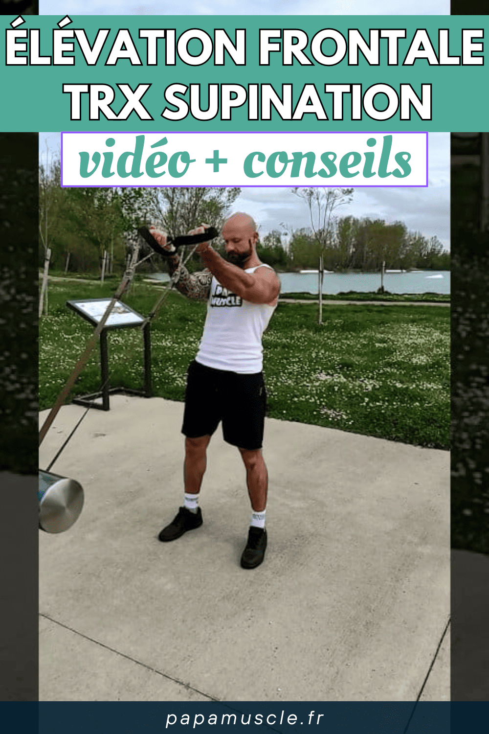 élévation frontale TRX supination