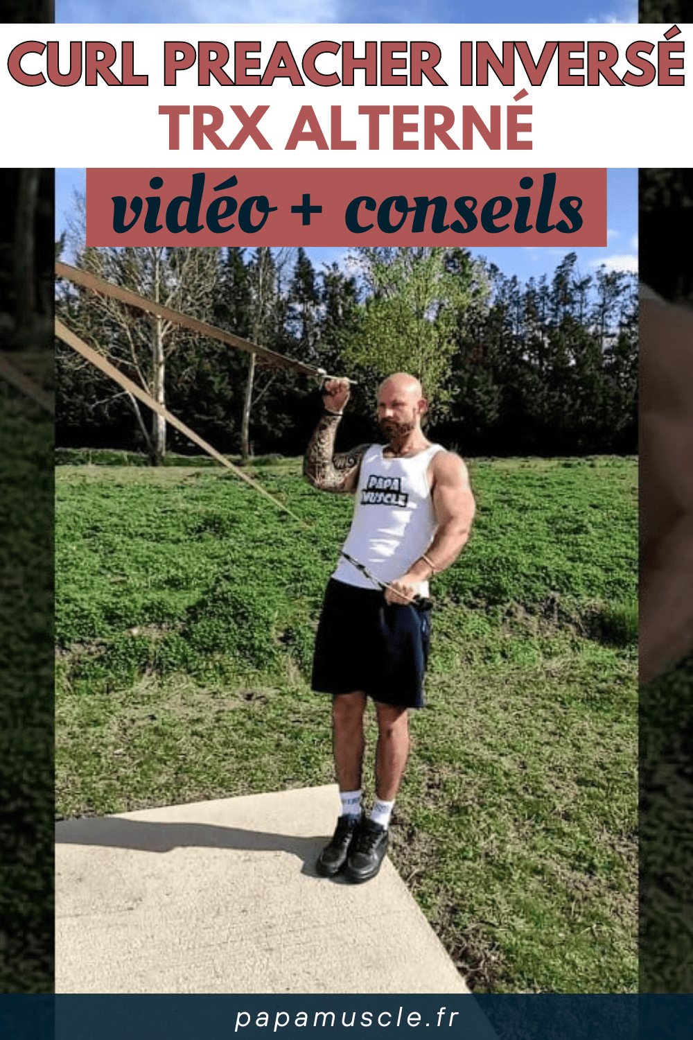curl preacher inversé TRX alterné