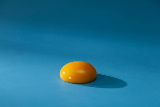 jaune d'oeuf musculation