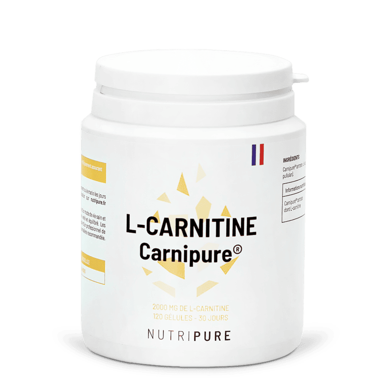 l-carnitine musculation