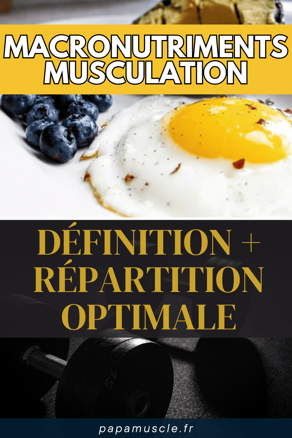 macronutriments musculation