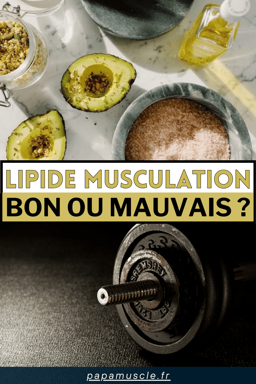 lipides musculation