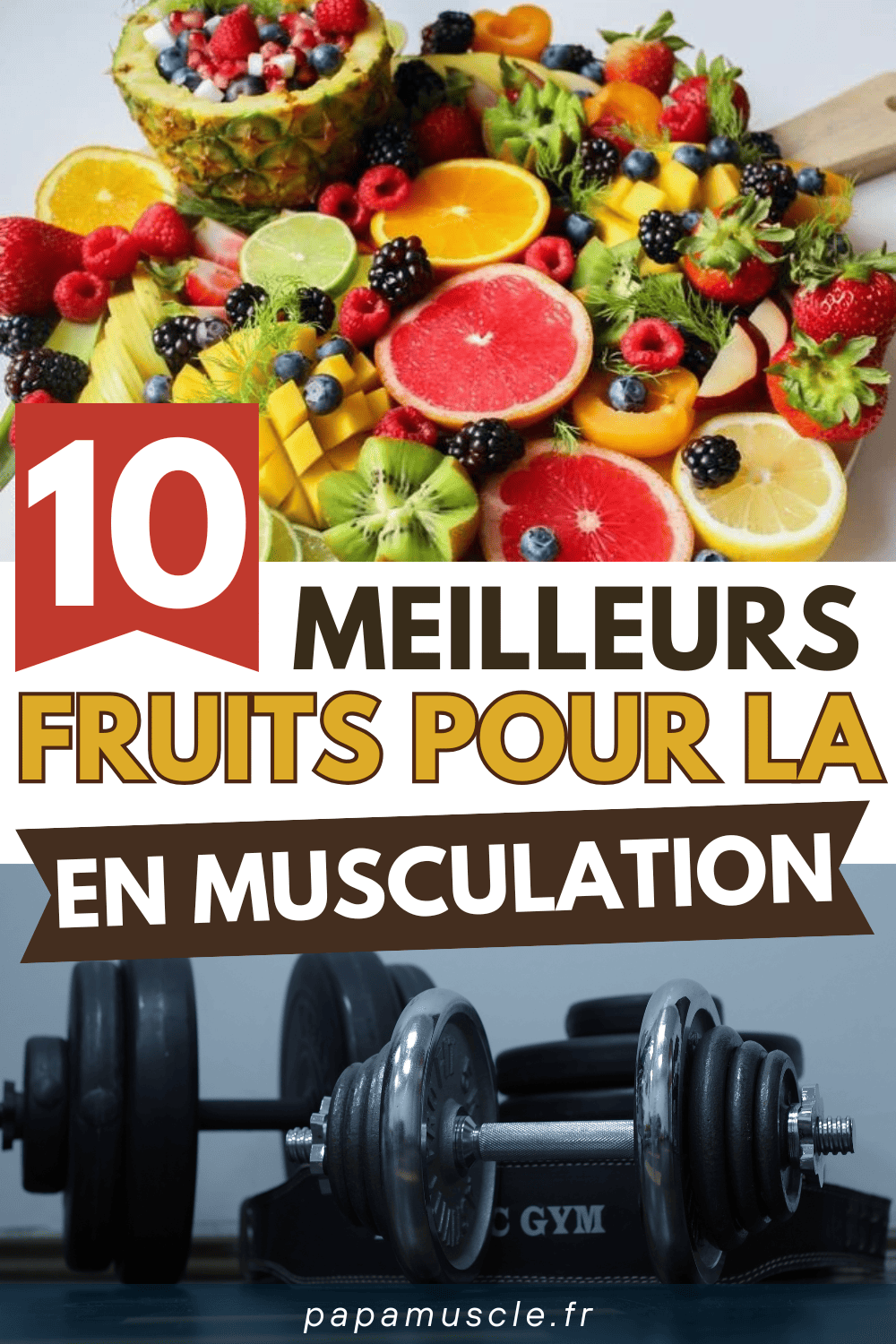 fruit musculation