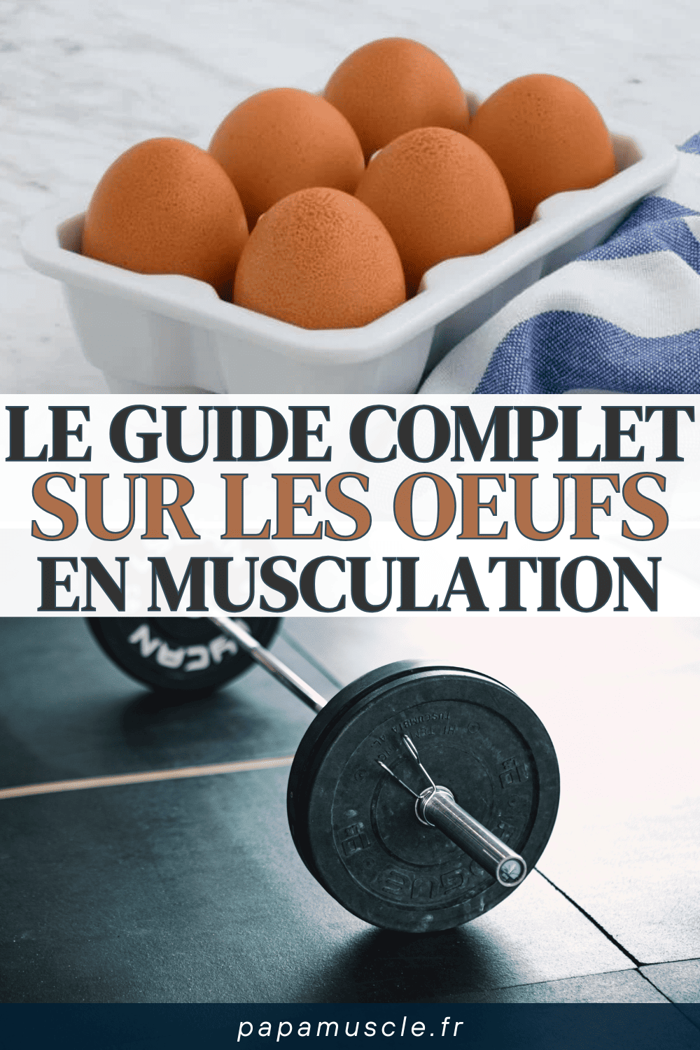 oeuf musculation