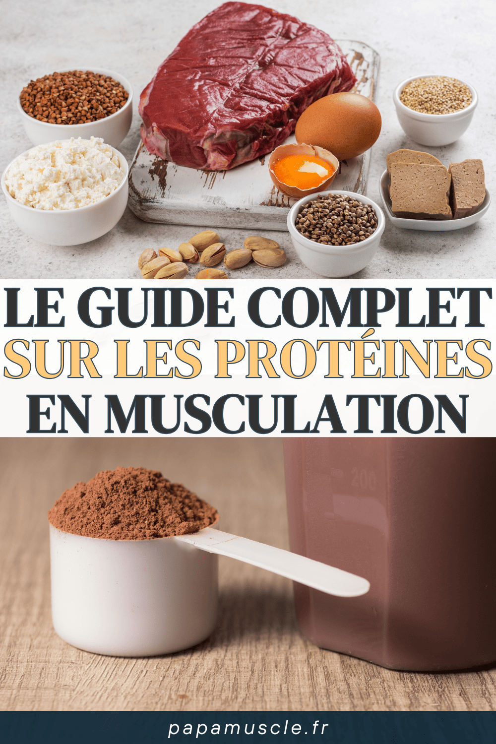 protéines musculation